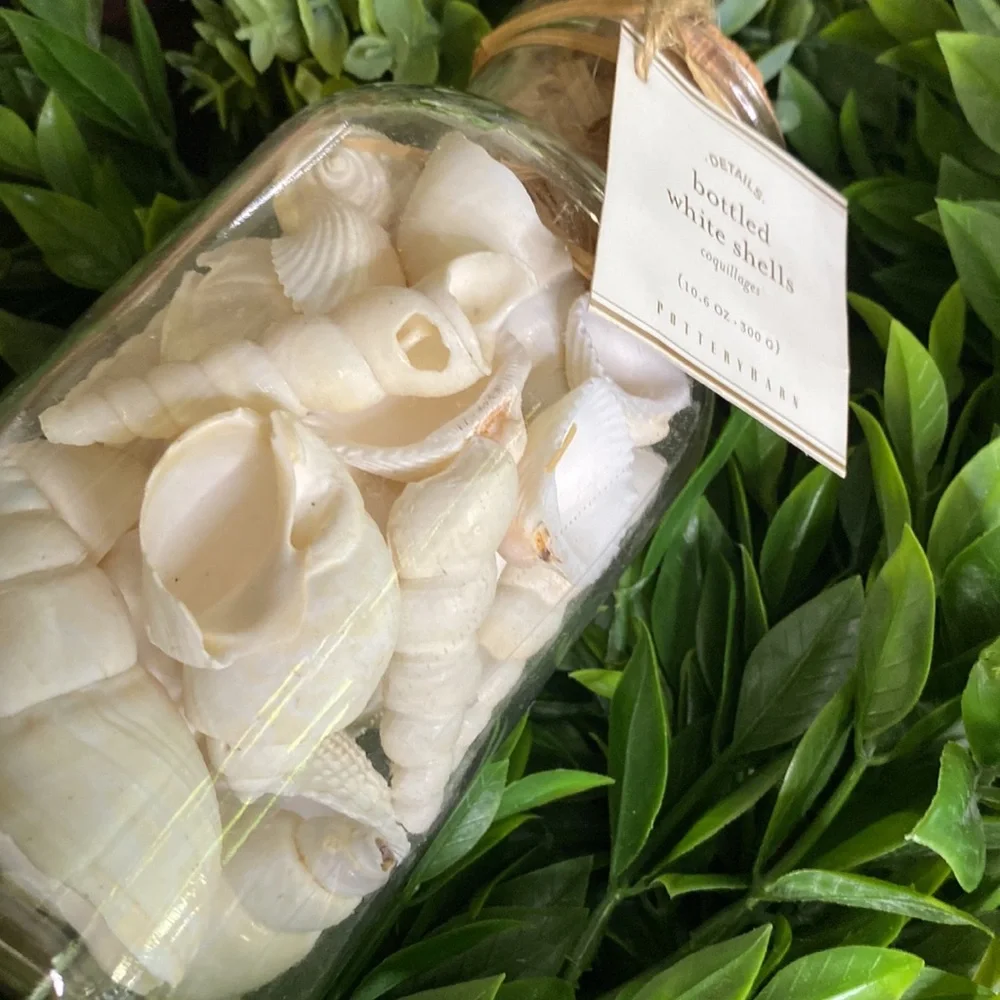 Pottery Barn Sally’s Seashore Seashells “Shells In A Bottle” Vase Filler 🐚 - Picture 13 of 16